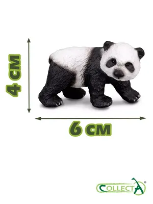 Детеныш большой панды родился в Московском зоопарке