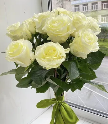 Белые розы (50 см) по цене 225 ₽ - купить в RoseMarkt с доставкой по  Санкт-Петербургу