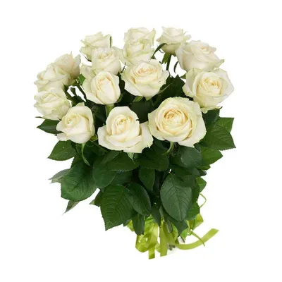 Букет 51 белая роза роз