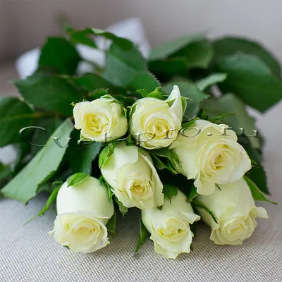 11 белых роз «Идиллия» 77.00 Br ❀ Цветочная мастерская Флореаль