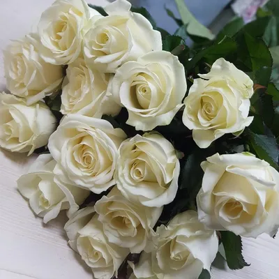 Букет из 11 белых роз Эквадор» - купить во Владивостоке за 5 300 руб
