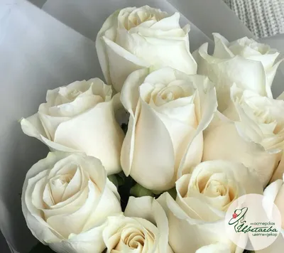Букет из белых роз с эвкалиптом купить с доставкой по Рязани
