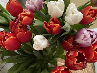 Заказать букет цветов на 8 марта FL-421 купить - хорошая цена на букет  цветов на 8 марта с доставкой - FLORAN.com.ua