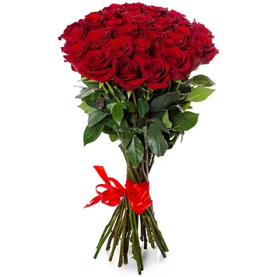 Букет из 35 красных роз Эквадор 70 см - купить в Москве по цене 10990 р -  Magic Flower
