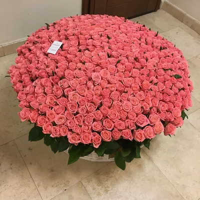 Купить 151 красную розу с доставкой по городу Днепр в интернет-магазине  Royal-Flowers