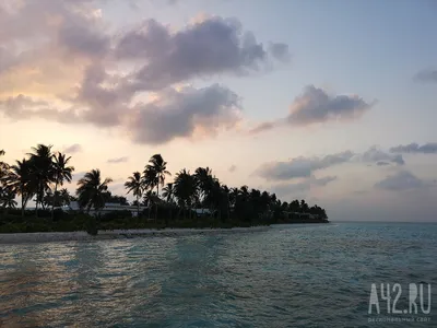 Гипнотизирующие полупрозрачные волны бушующего моря в картинах Ивана  Айвазовского