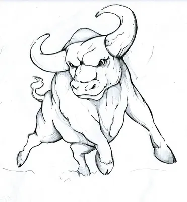 Как нарисовать быка для детей - 28 фото