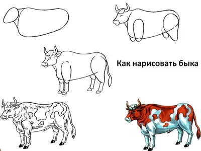 Рисунки быков простым карандашом (43 фото) » Рисунки для срисовки и не  только