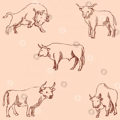 Рисуем символа уходящего года , новогоднего «Грозного быка» карандашом |  Ostrovok Pozitiva | Дзен