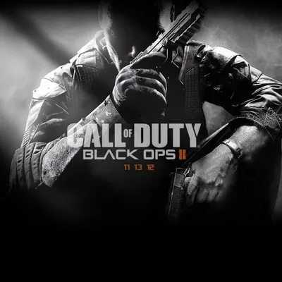 Amazon.com: Call of Duty Black Ops 2 : Video Games