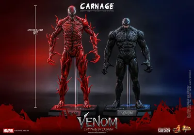 Carnage Sixth Scale Figure by Hot Toys | Sideshow Collectibles
