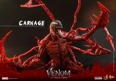 Carnage #12 Reviews