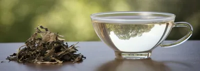 Свойства белого чая | Подборка необычных чаев от NewTea