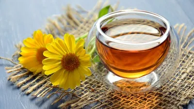 Чай: польза и вред для организма мужчин, женщин и детей