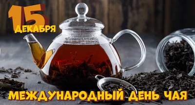 Натуральный экстракт Зеленого чая в порошке купить в интернет-магазине |  EdaProf.ru
