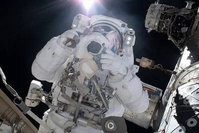 Первый туристический полет человека в космос от Space X