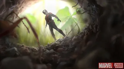 Эмоциональные фото со съемок «Человека-муравья и Осы»