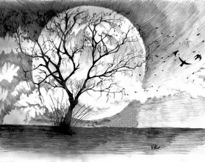 Осенний пейзаж черно белый рисунок карандашом - 70 фото