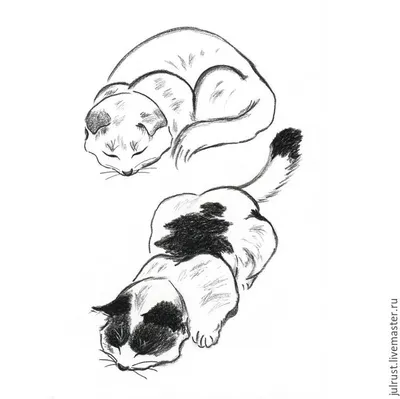 Черно-белые кошки с разными эмоциями. Удивленный и сердитый кот. Группа  карикатура руководителей кота. Иллюстрация вектора - иллюстрации  насчитывающей изолировано, черный: 206389779