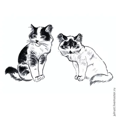 Черно-белые котики в линейном стиле - Фрилансер Андрей Дубравушкин  JokerMask - Портфолио - Работа #2912310