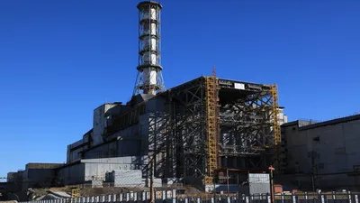 В Чернобыле опасна не радиация, а волки | Новости ООН