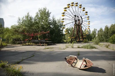 Яблоки величиной с арбуз\": рассказы тех, кто вернулся из Чернобыля - РИА  Новости, 23.04.2021