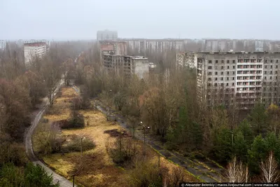 Почему Чернобыльская АЭС должна была взорваться: суровый приговор академика  В.А. Легасова | ИстПросвет | Дзен