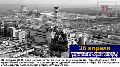 Животные Чернобыля. Как им сейчас живется? | Заметки зооработника | Дзен