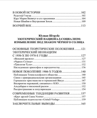 Черное Солнце. За что убивают Учителей, Наталья Корнева – скачать книгу  fb2, epub, pdf на ЛитРес