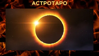 Черное Солнце. - купить по выгодной цене | Издательство Тотенбург.  Официальный магазин