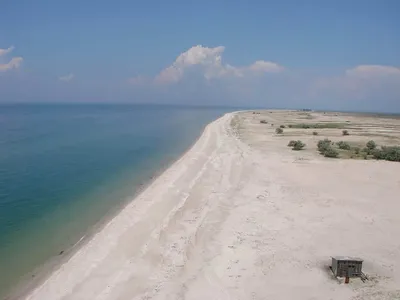 Берега Черного моря в Чувашии усыпаны мертвыми карасями: \"Рыба пахнет  химией\"