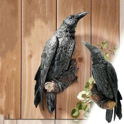 Любопытный большой черный ворон, представляющий на портрете луга осени  вертикальном черного ворона Стоковое Изображение - изображение  насчитывающей трава, клюв: 210348441
