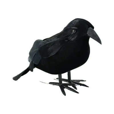 Полет черного ворона / Черный ворон в полете Большая грациозная птица