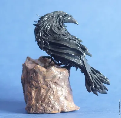 2 ворона : черный ворон белый ворон» — создано в Шедевруме