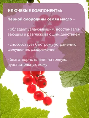 Саженцы черной смородины купить в Москве в питомнике, растения по цене от  500 руб.