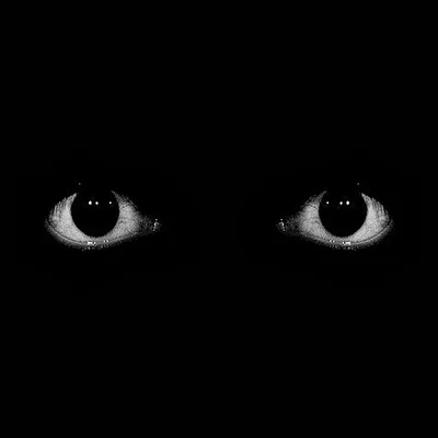 Демонические черные глаза без ученика Реалистичное искусство страшных  женских глаз на белом фоне, иллюстрация Vector EPS 10 Иллюстрация вектора -  иллюстрации насчитывающей сторона, черный: 159195558