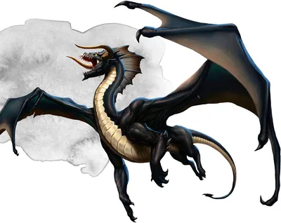 Черный дракон с белым драконом, …» — создано в Шедевруме