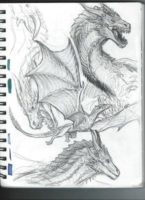 2 черных дракона в бое, силуэт на белой предпосылке, Иллюстрация вектора -  иллюстрации насчитывающей конспектов, черный: 124478241