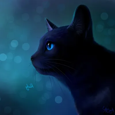 Кошка с голубыми глазами ... :: Светлана Мельник – Социальная сеть ФотоКто
