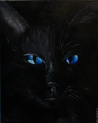 Черный кот с голубыми глазами порода - 77 фото
