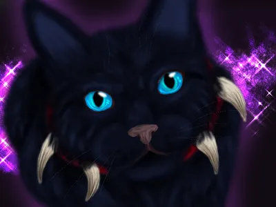 Фото Черная кошка с голубыми глазами в красном ошейнике с когтями