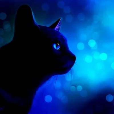 Черная кошка с фиолетовыми глазами - 76 фото