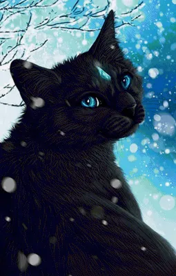ТОП -10 Ярких Пород Кошек с Голубыми Глазами (Фото)