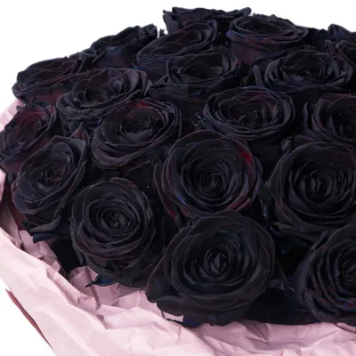 Букет черных роз 39 шт. купить с доставкой в Москве. Цена от 10530 ₽