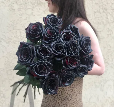 25 чёрных роз по цене 12250 ₽ - купить в RoseMarkt с доставкой по  Санкт-Петербургу