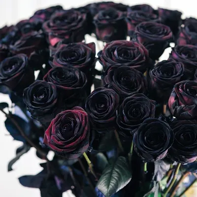 Черные розы в коробке за 4 790 руб. | Бесплатная доставка цветов по Москве