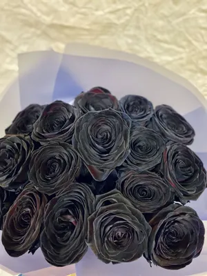 Букет из 7 черных роз 70 см - купить в Москве по цене 2990 р - Magic Flower