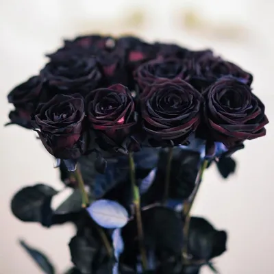 Черные розы - цвет тайны! * Интернет-магазин Flowers Country - цветы с  доставкой