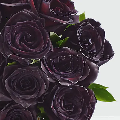 15 черных роз без упаковки - купить с доставкой в Москве, Azalia Now