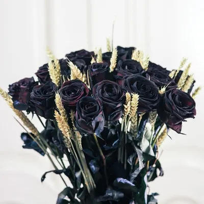Черные розы микс в шляпной коробке 51 штука 1 шт. купить с доставкой в  Москве. Цена от 12200 ₽